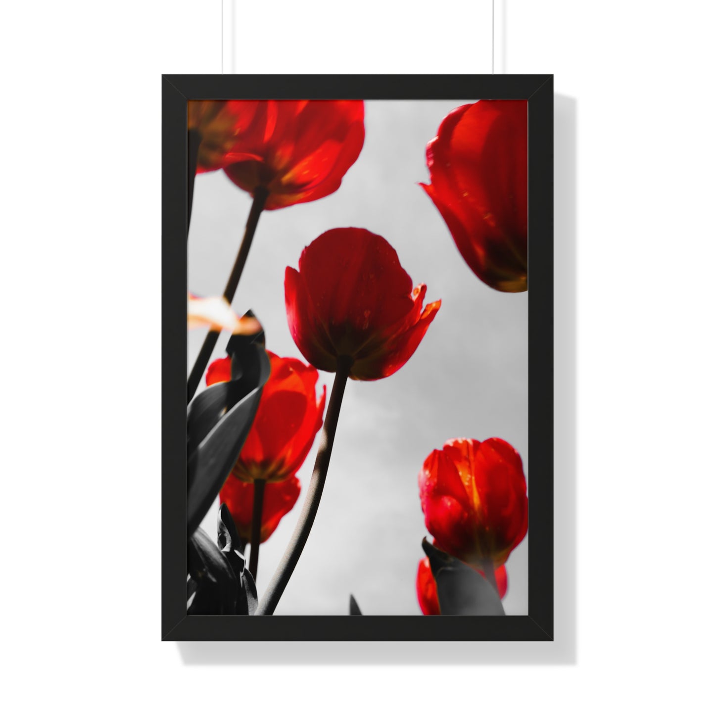 Cheekwood Gardens Open Bloom Floral Wall Art