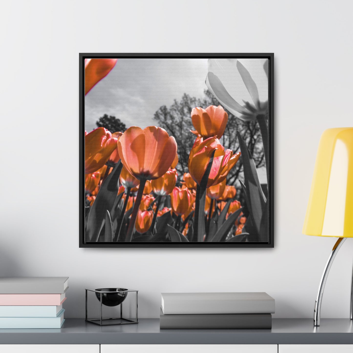 Radiant Peach Tulips at Cheekwood Gardens - Framed Canvas Print