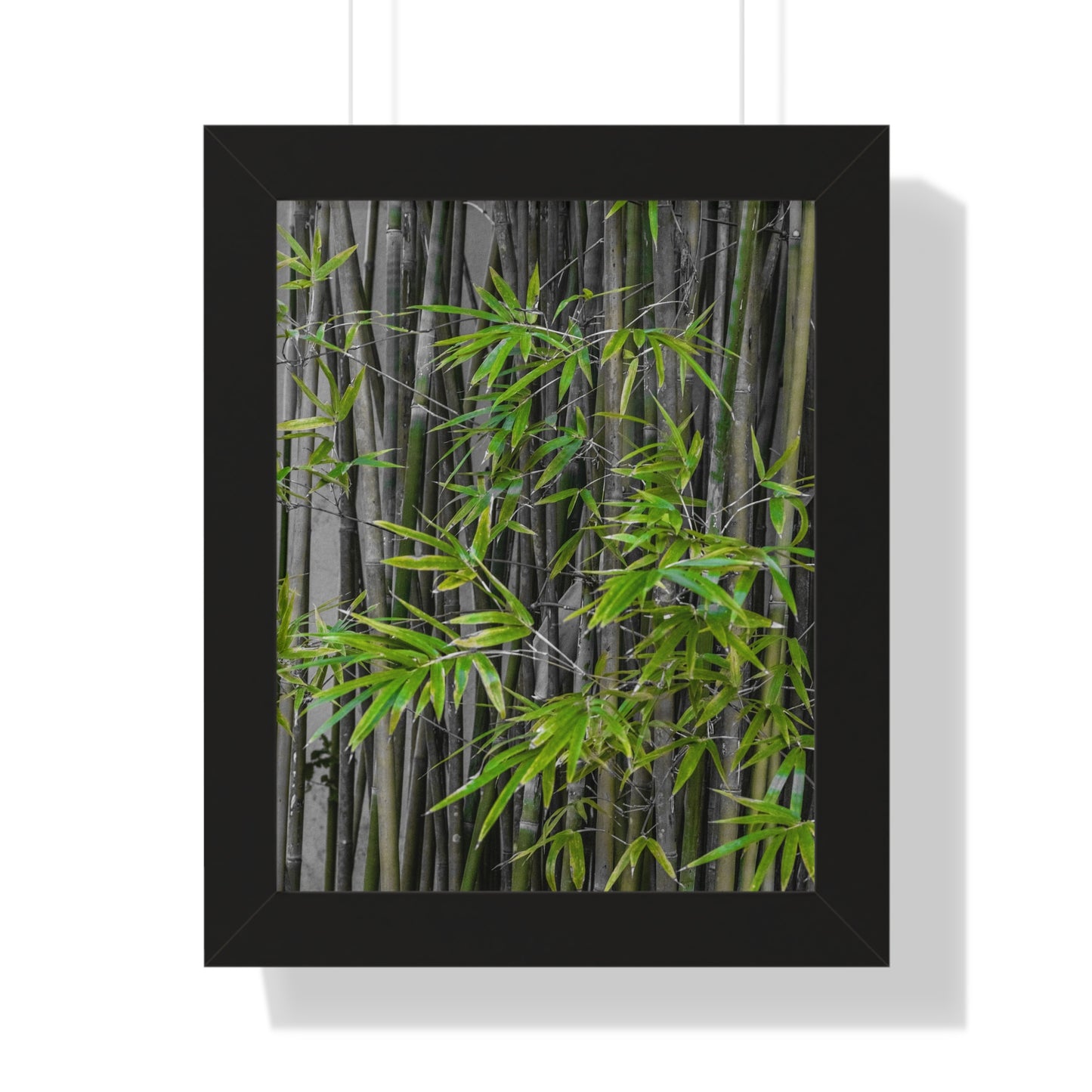 Lush Bamboo Grove Photography Print