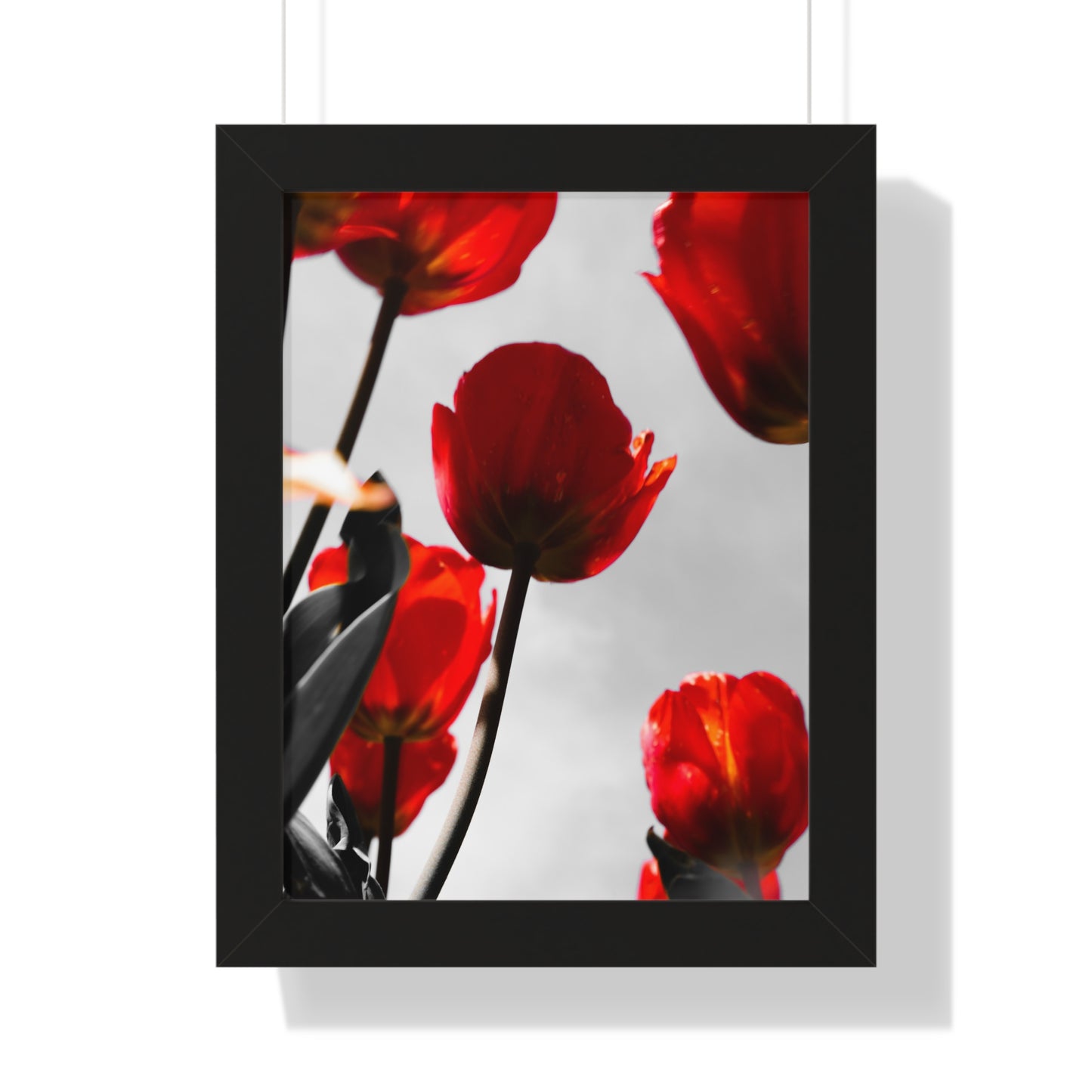 Cheekwood Gardens Open Bloom Floral Wall Art