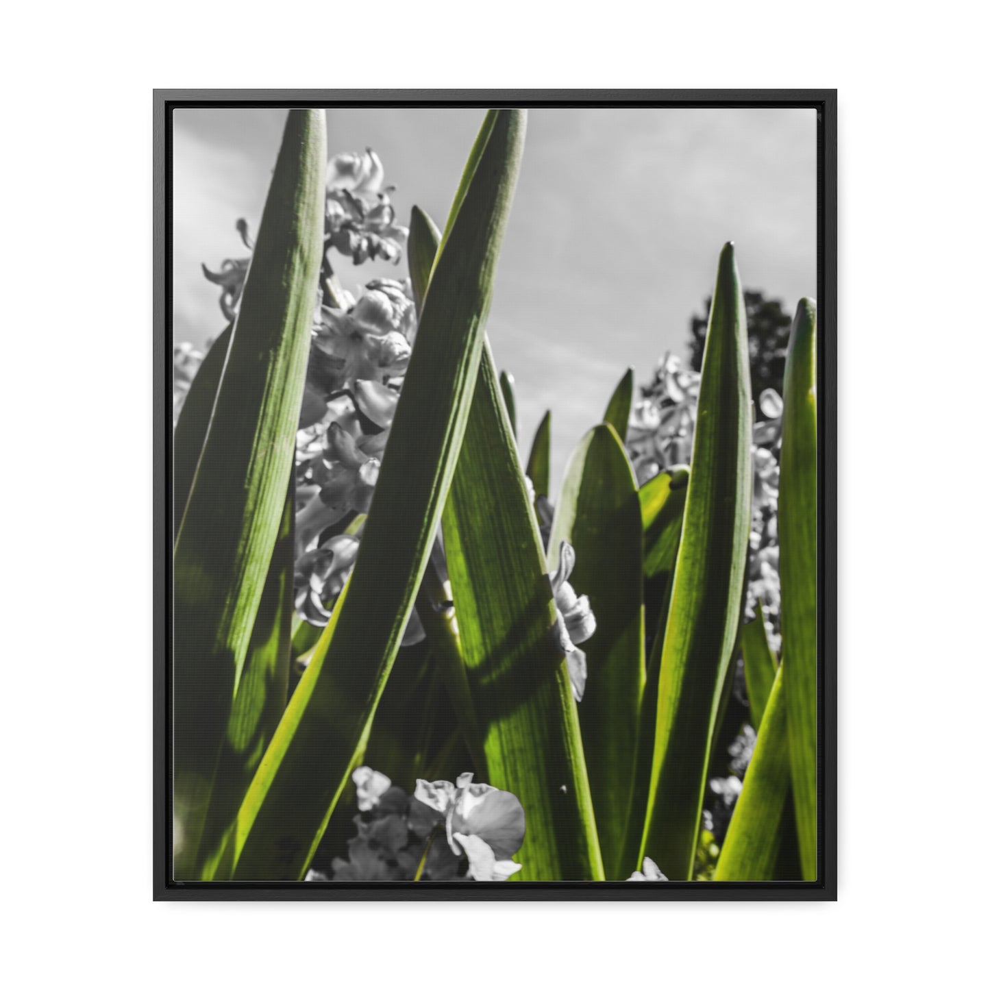 Cheekwood Gardens Green Stems Home Décor Photography Print