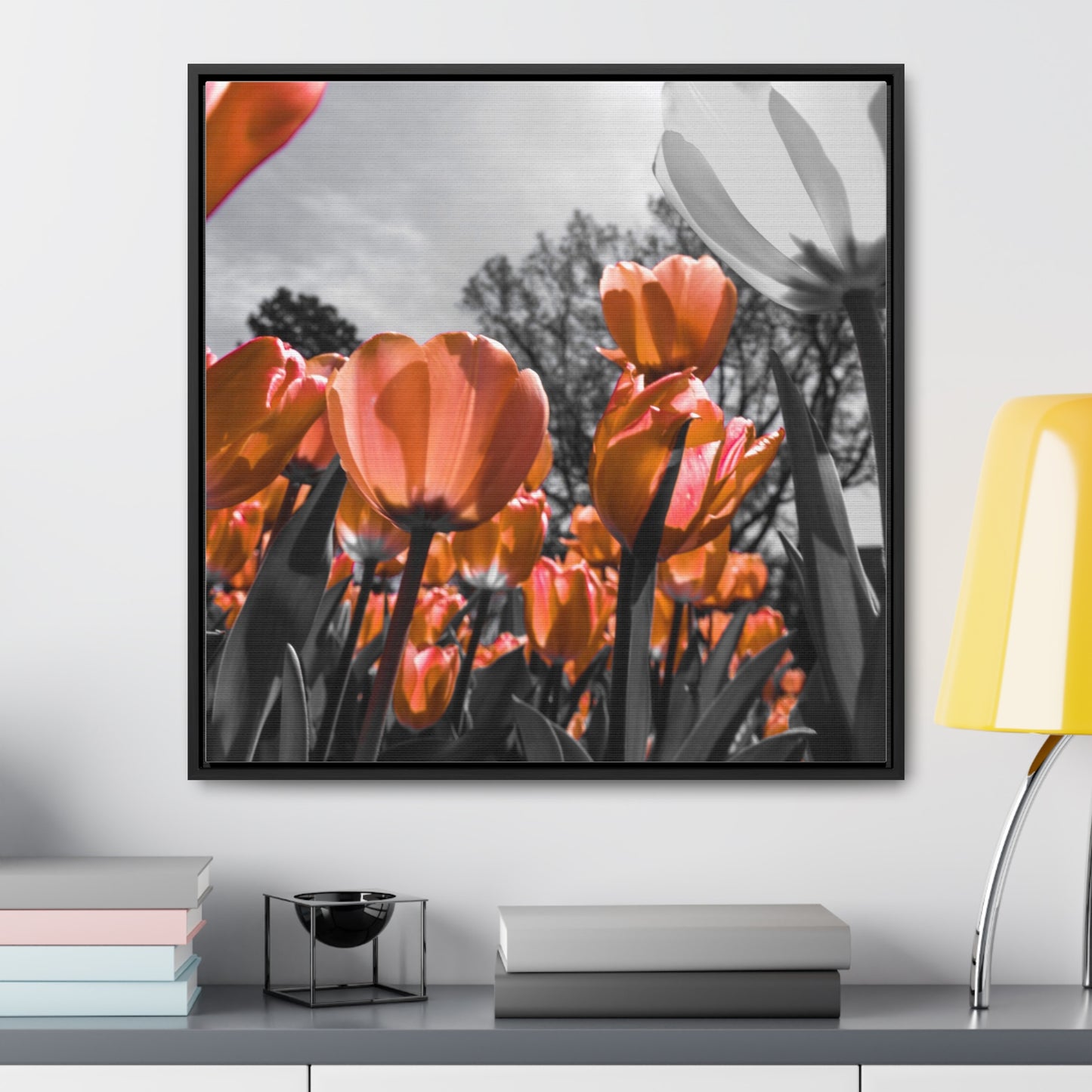 Radiant Peach Tulips at Cheekwood Gardens - Framed Canvas Print