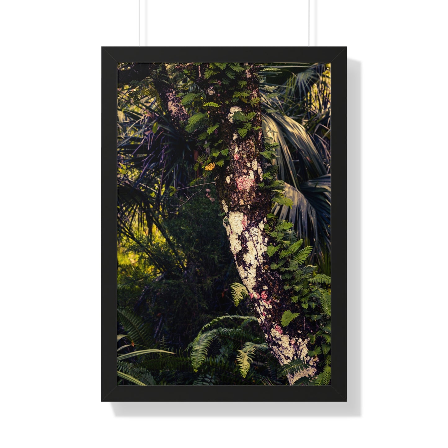 Lush Greenery and Ferns Photography Print