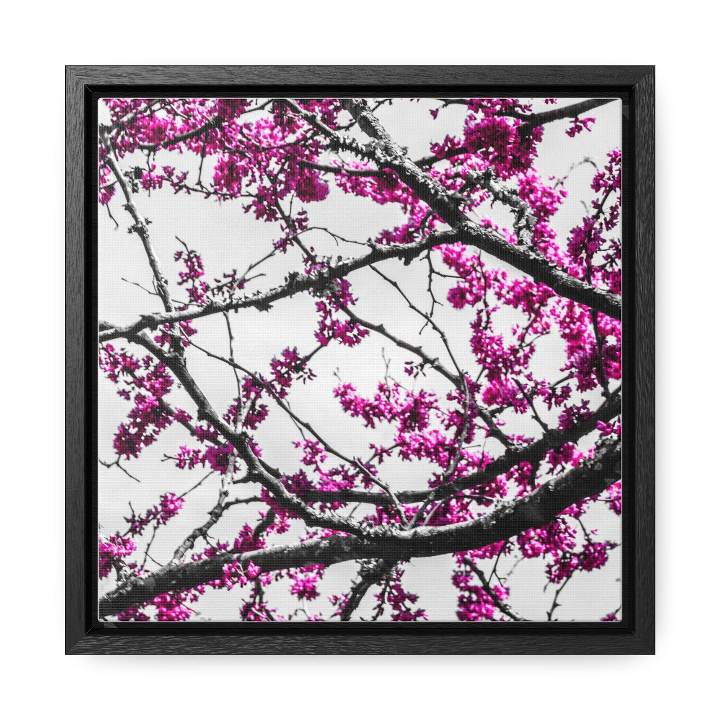 Cheekwood Gardens Land of Purple Home Décor