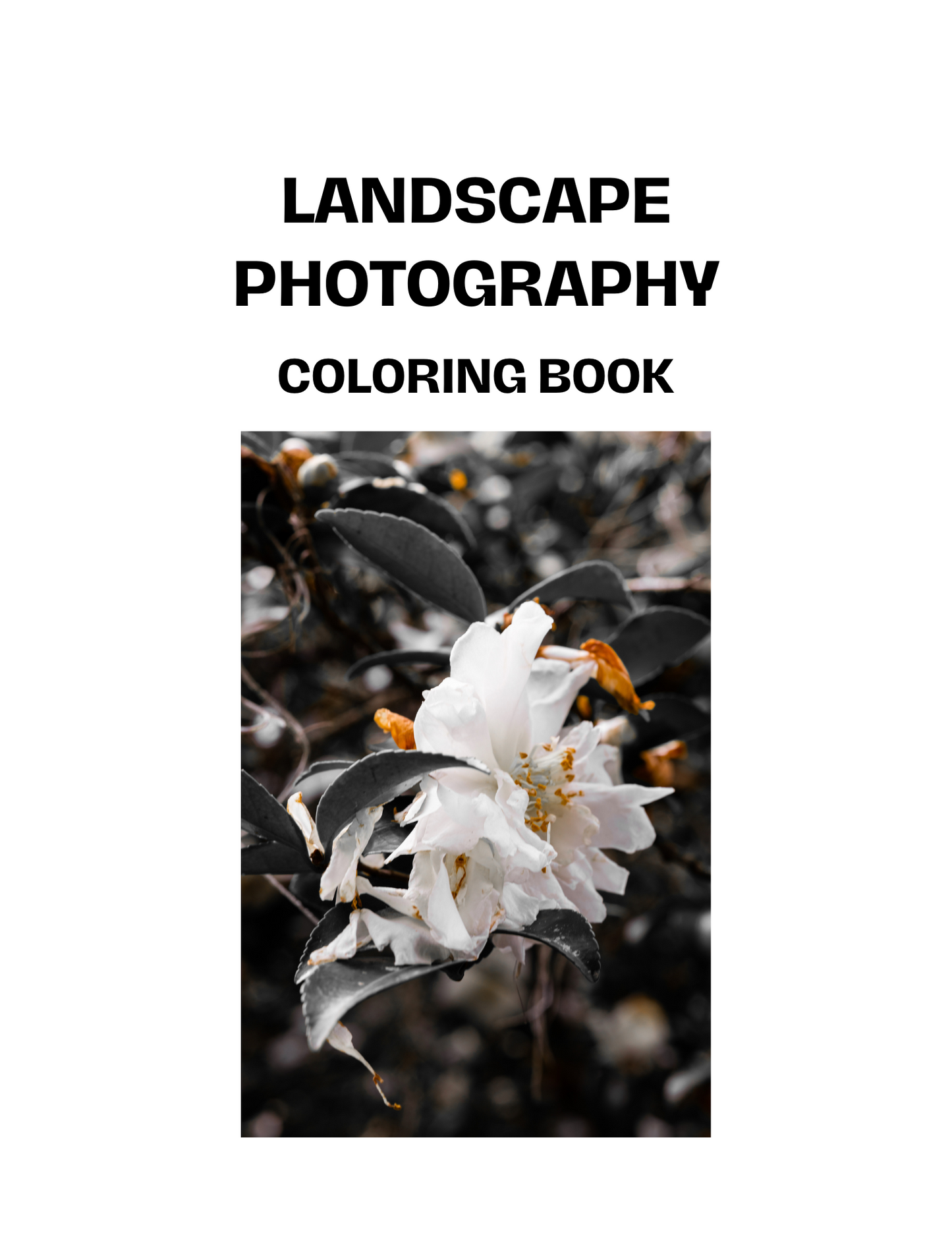 20 Page Digital Download Coloring Book-Landscape Photography
